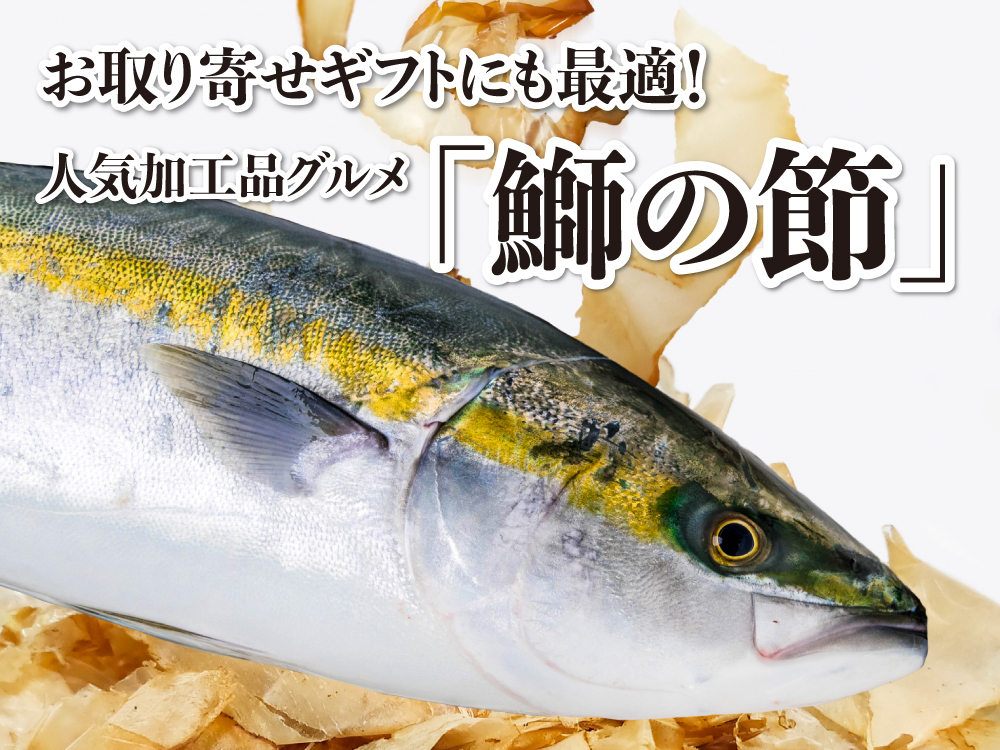 お取り寄せギフトにも最適！人気加工品グルメ「鰤の節」