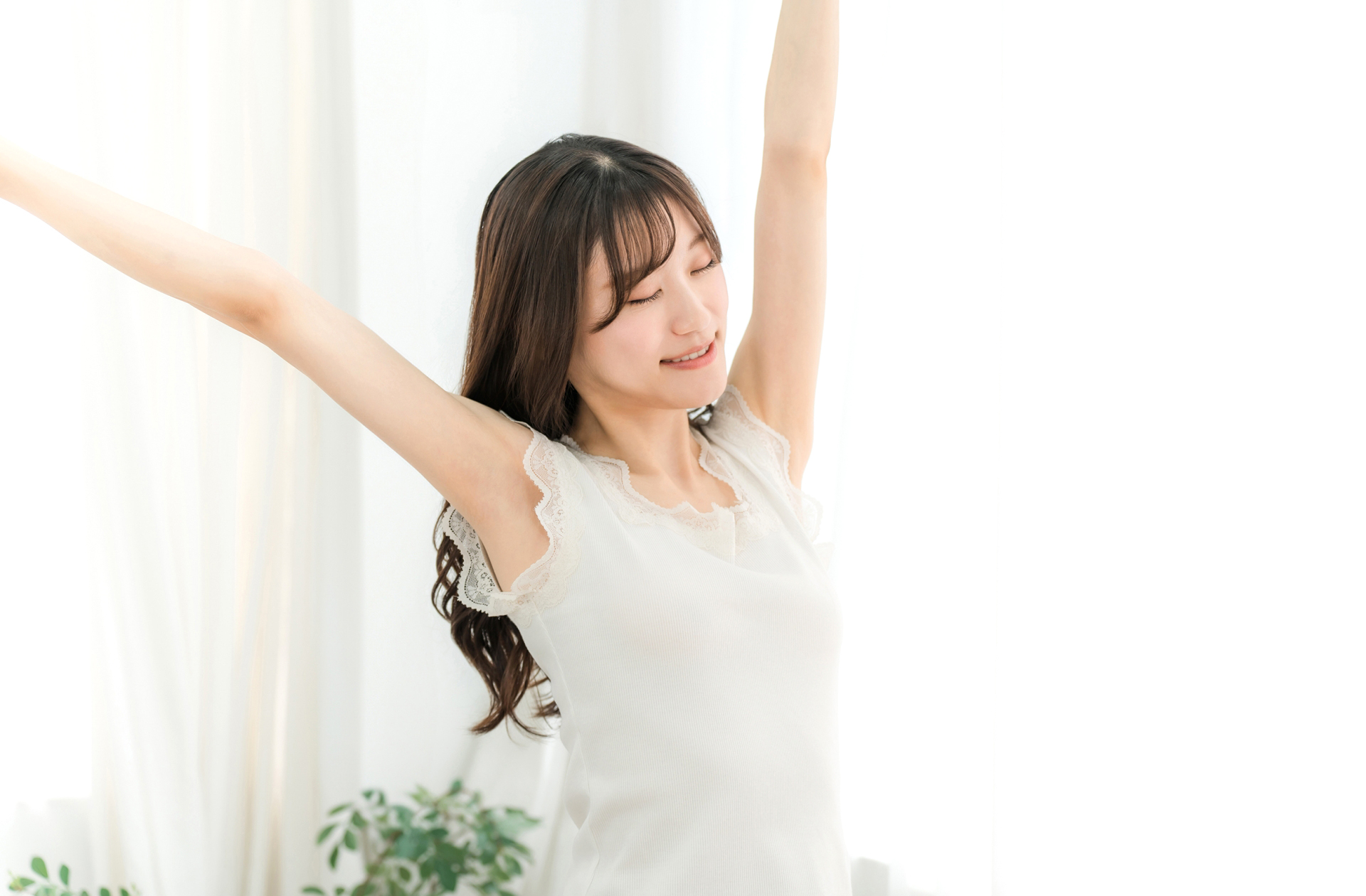 ソデイカを通販で!別名「セーイカ」をお取り寄せで味わう