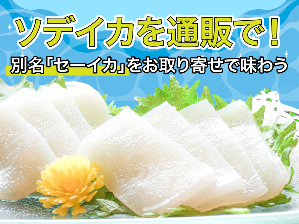 ソデイカを通販で！別名「セーイカ」をお取り寄せで味わう