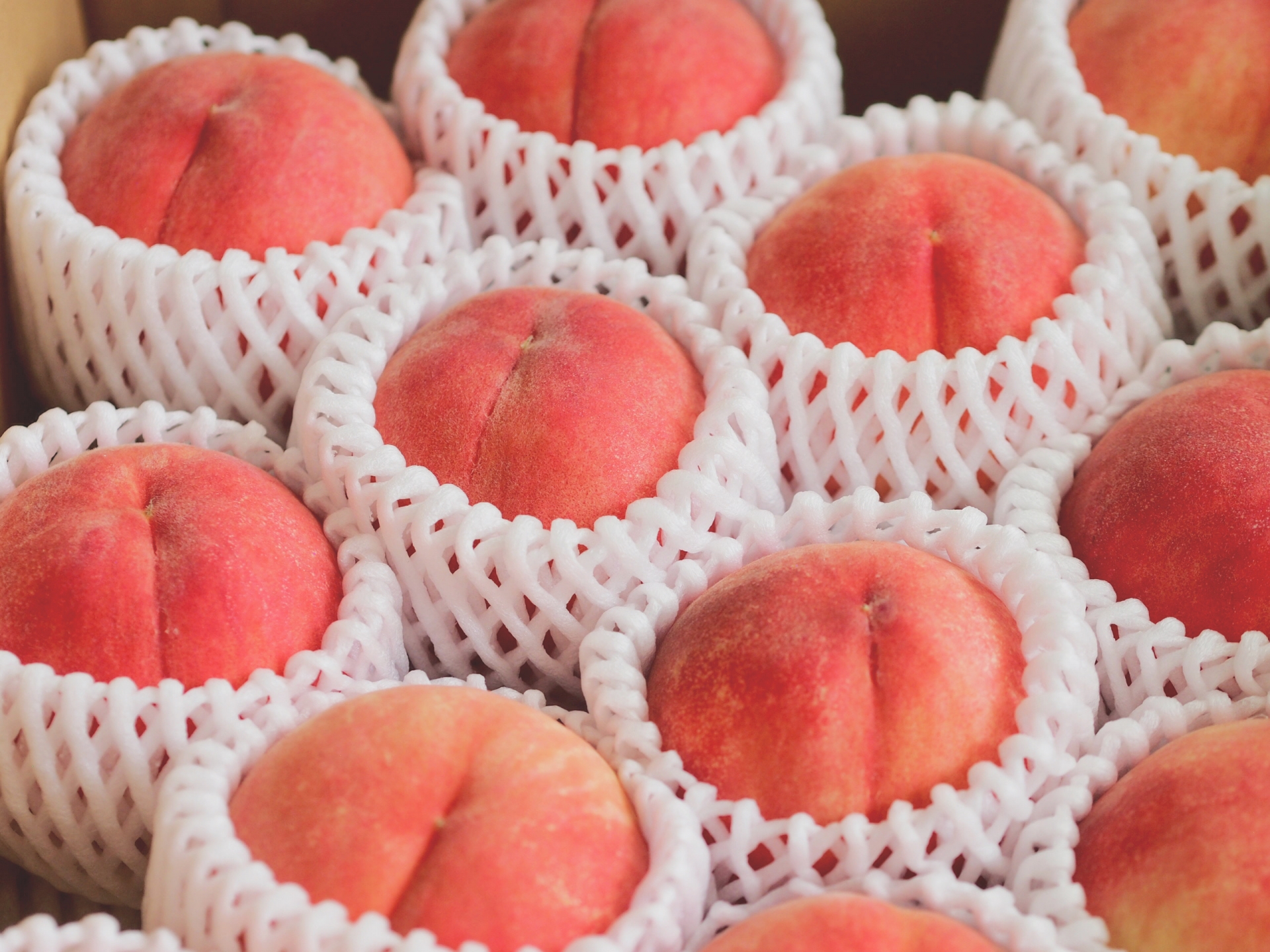 中国地方の味をお取り寄せ！おすすめグルメランキング＆人気の通販グルメ