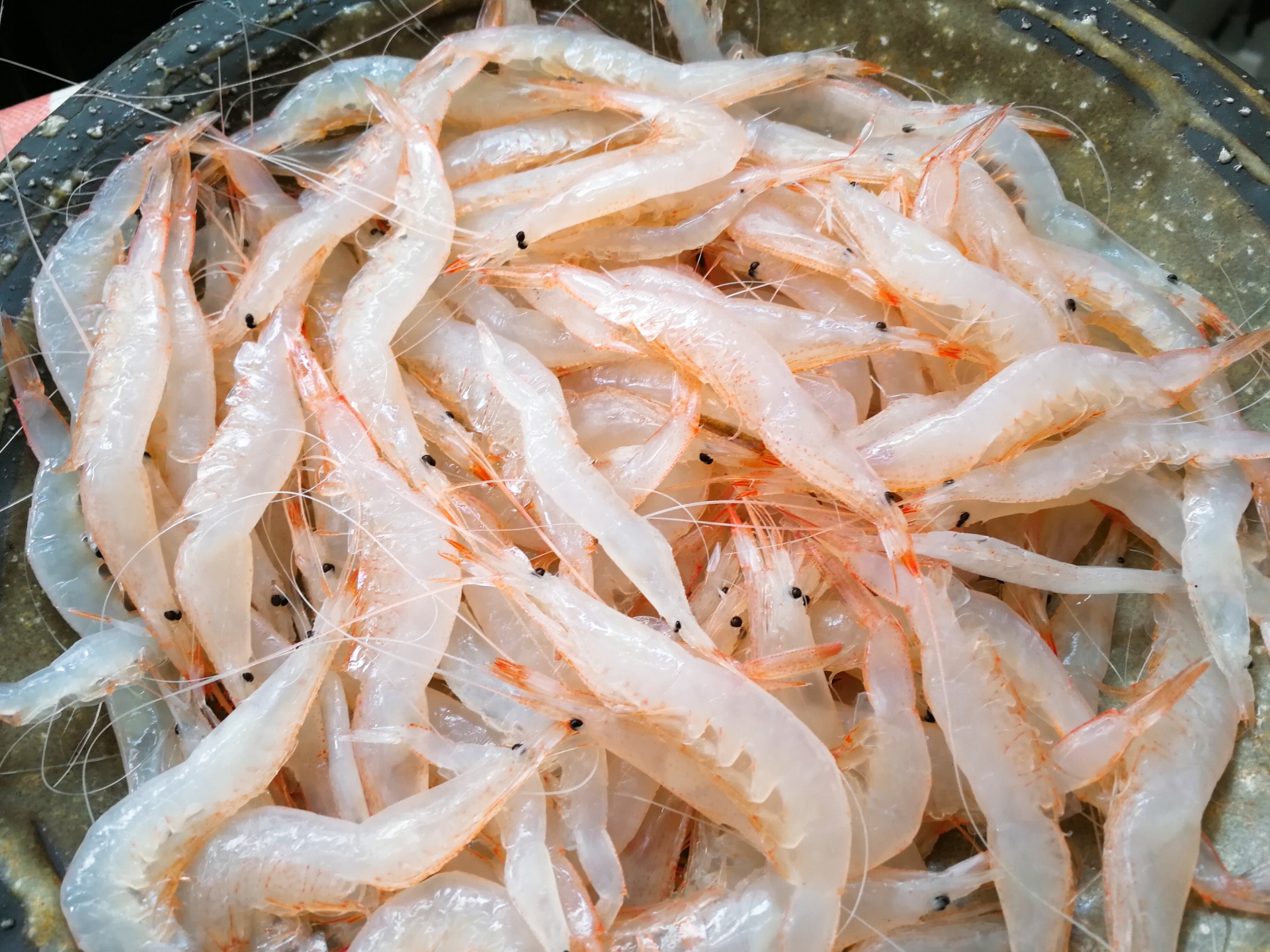 通販で買える！中部地方の絶品お取り寄せグルメ！