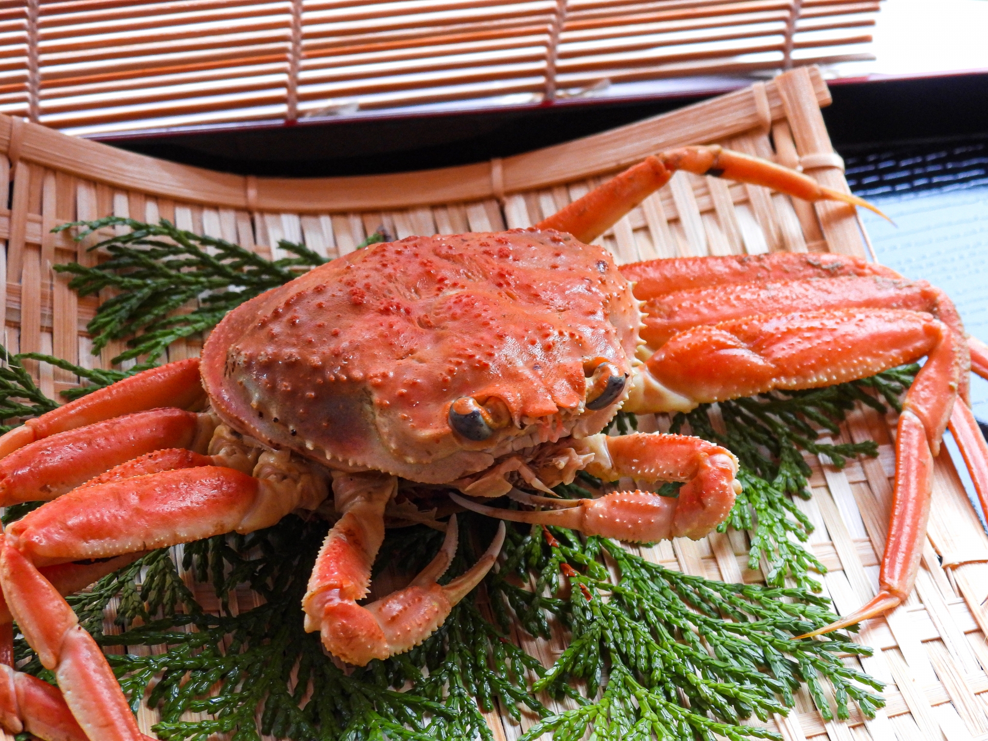 冬の味覚セコガニを堪能！旬、食べ方、お取り寄せ情報