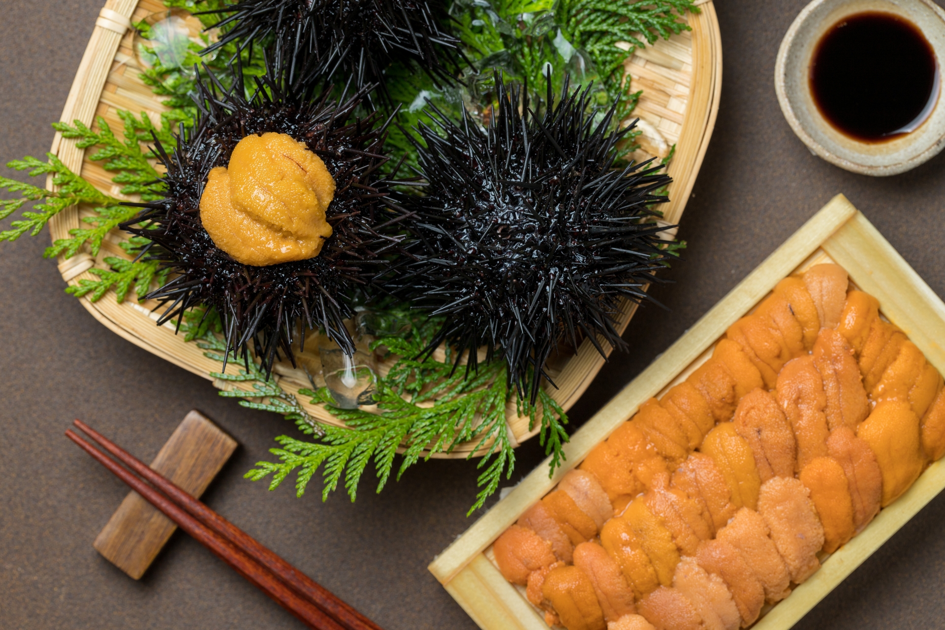 【産地別】100gでおすすめ！美味しいウニのお取り寄せガイド：失敗しない選び方と人気商品