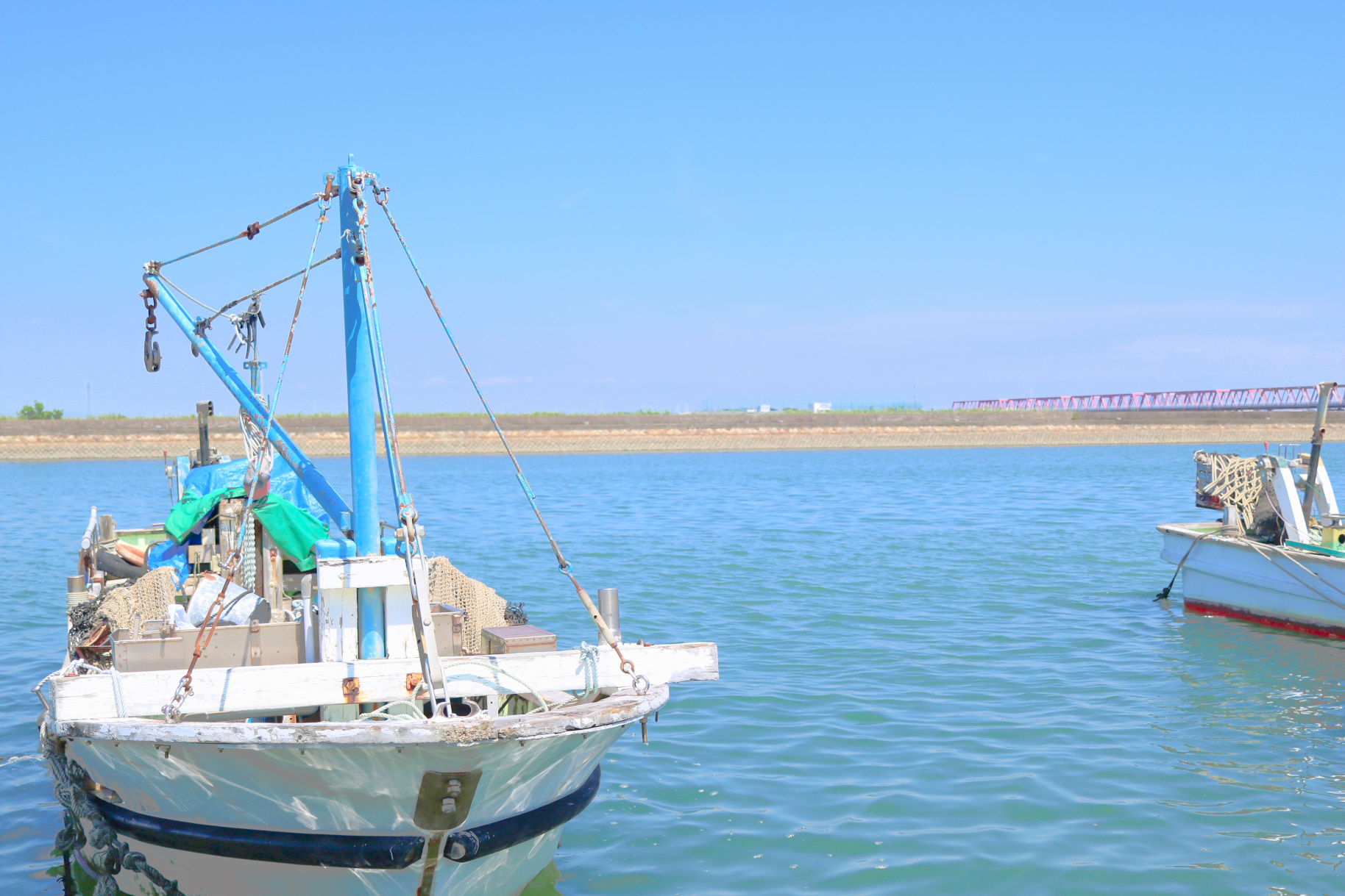桑名産はまぐりしぐれ煮をお取り寄せ！特徴、三重の恵みを徹底解説