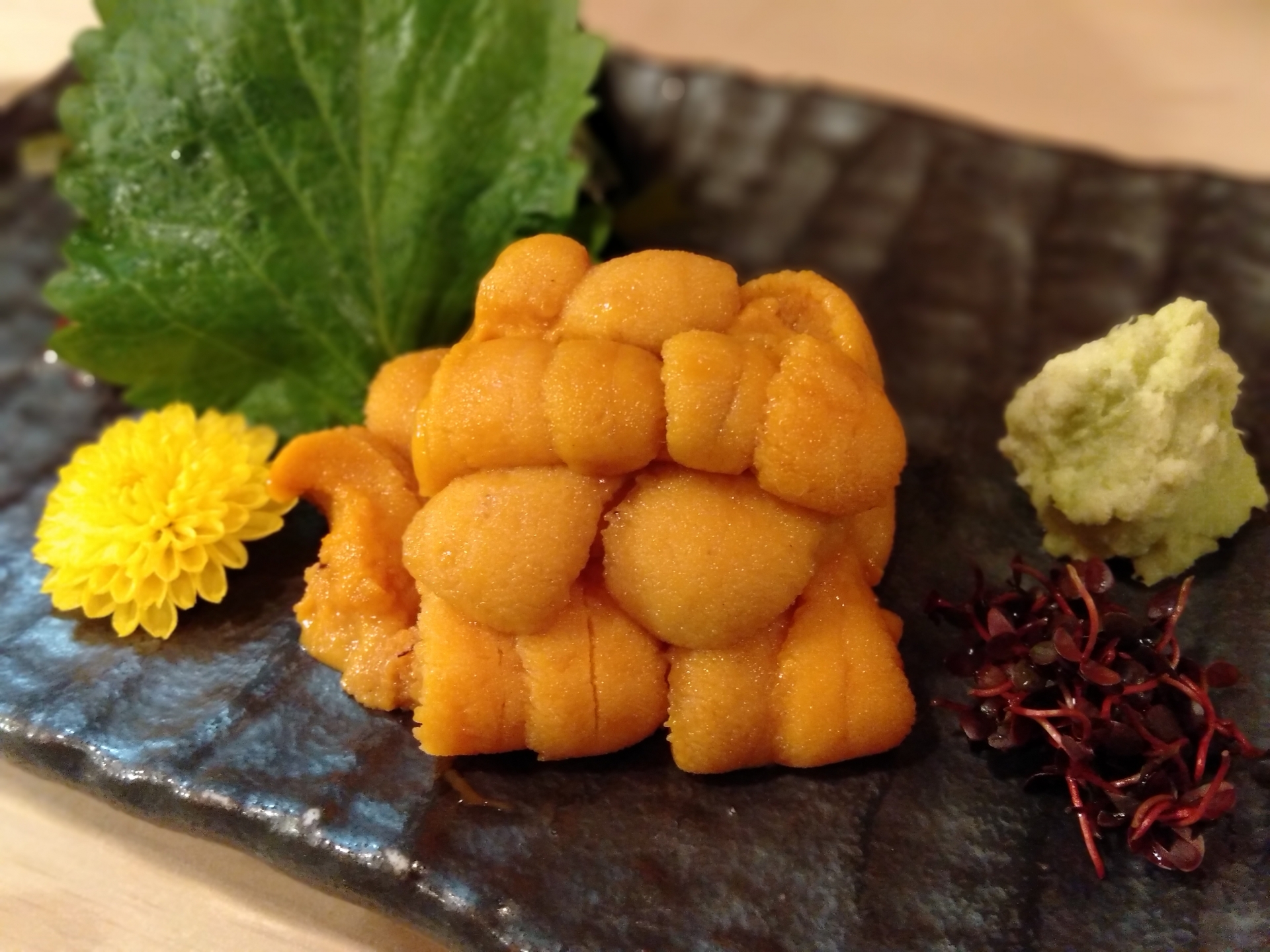 【産地別】100gでおすすめ！美味しいウニのお取り寄せガイド：失敗しない選び方と人気商品