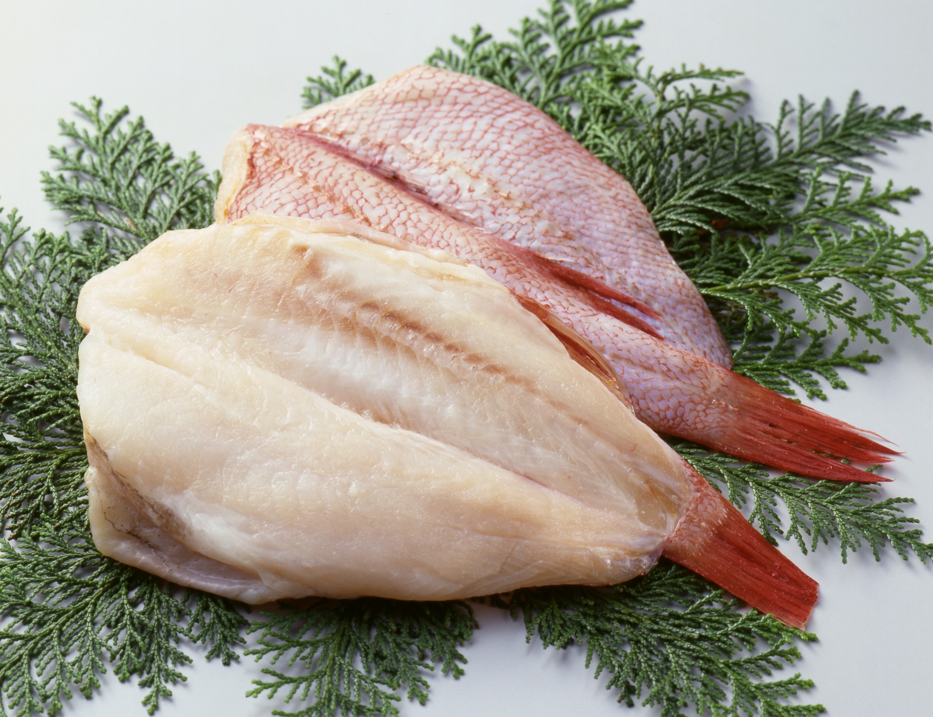 【2月が旬！】金目鯛のお取り寄せはコレ！味・特徴・おすすめレシピまで徹底解説