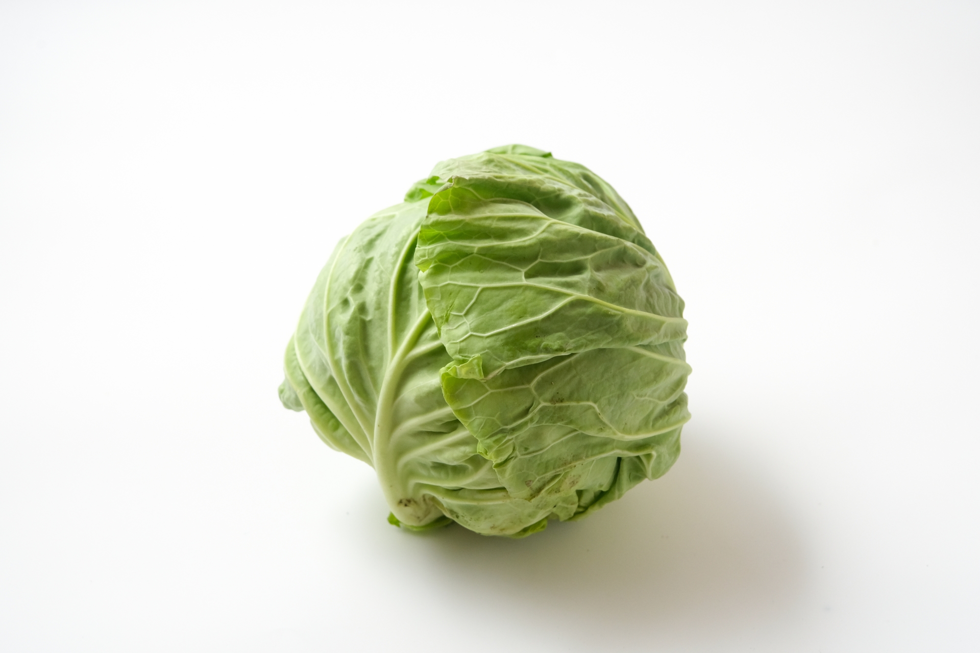 春キャベツのすべて！旬の時期・特徴・選び方・絶品レシピ・お取り寄せガイド