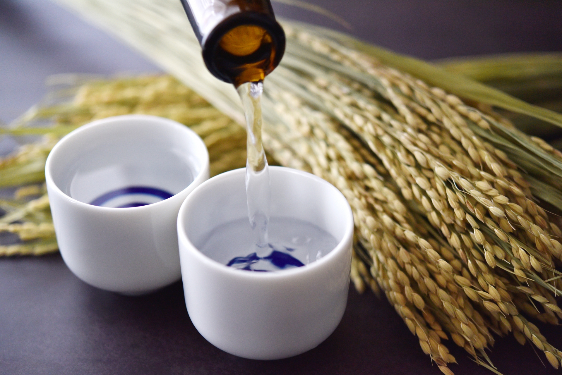 【金沢の地酒をお取り寄せ】加賀鳶（かがとび）の特徴とは？味・種類・おすすめの「あて」まで徹底解説