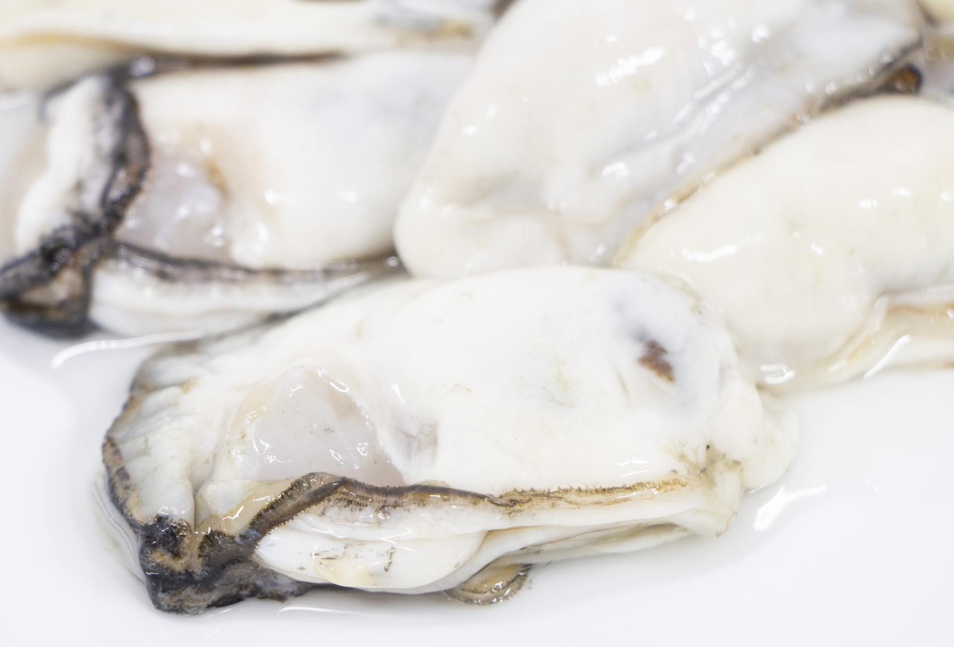 牡蠣の旬は「産卵前」がベスト！広島県産「海のミルク」の秘密とお取り寄せ術