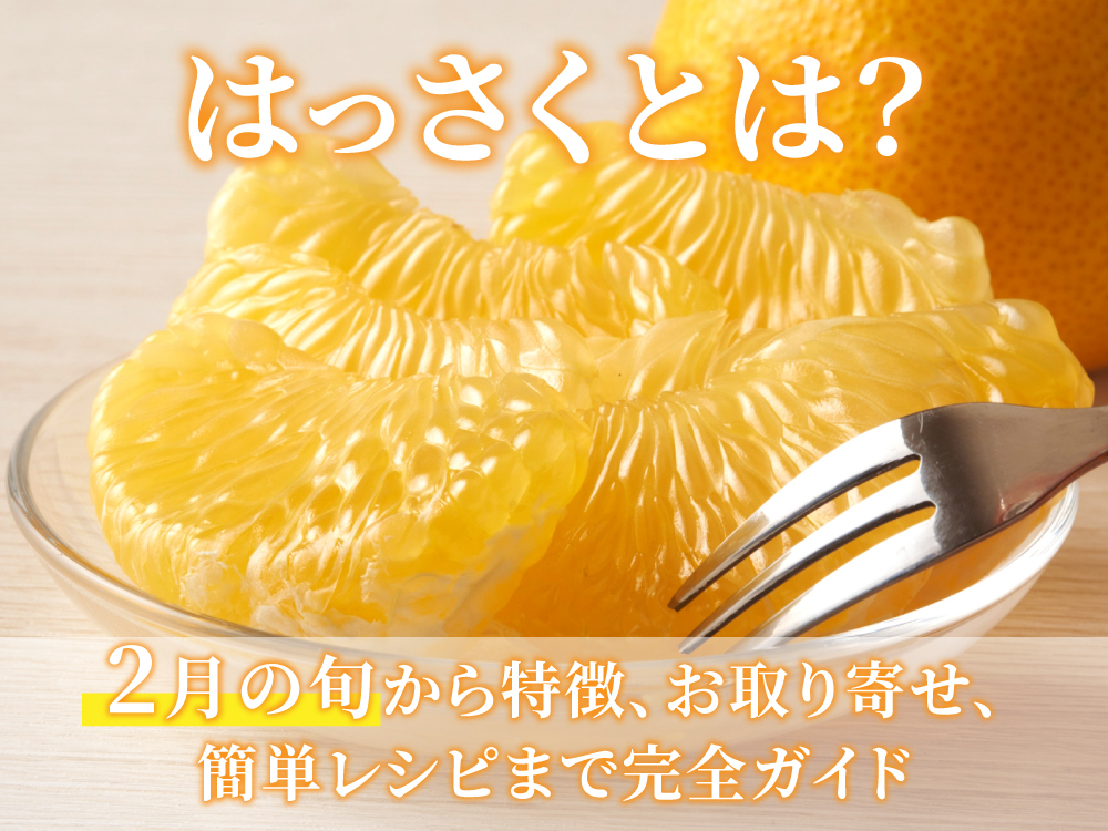 はっさくとは？2月の旬から特徴、お取り寄せ、簡単レシピまで完全ガイド