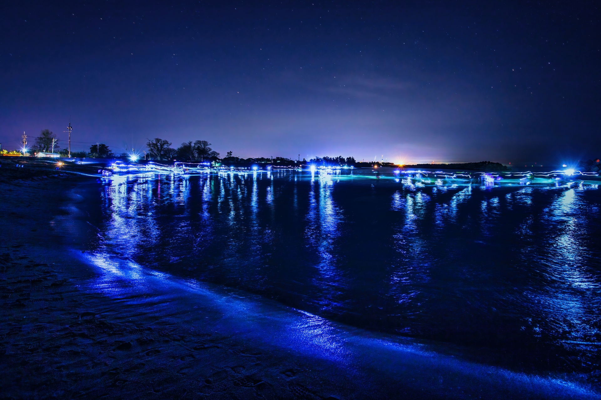 【決定版】ホタルイカの旬は春！産地（富山・兵庫）の特徴、美味しい食べ方、お取り寄せ方法