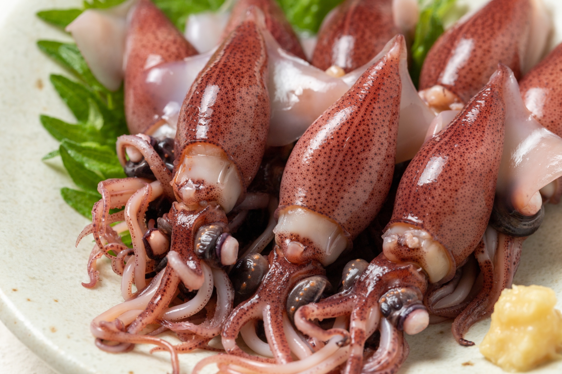 【決定版】ホタルイカの旬は春！産地（富山・兵庫）の特徴、美味しい食べ方、お取り寄せ方法