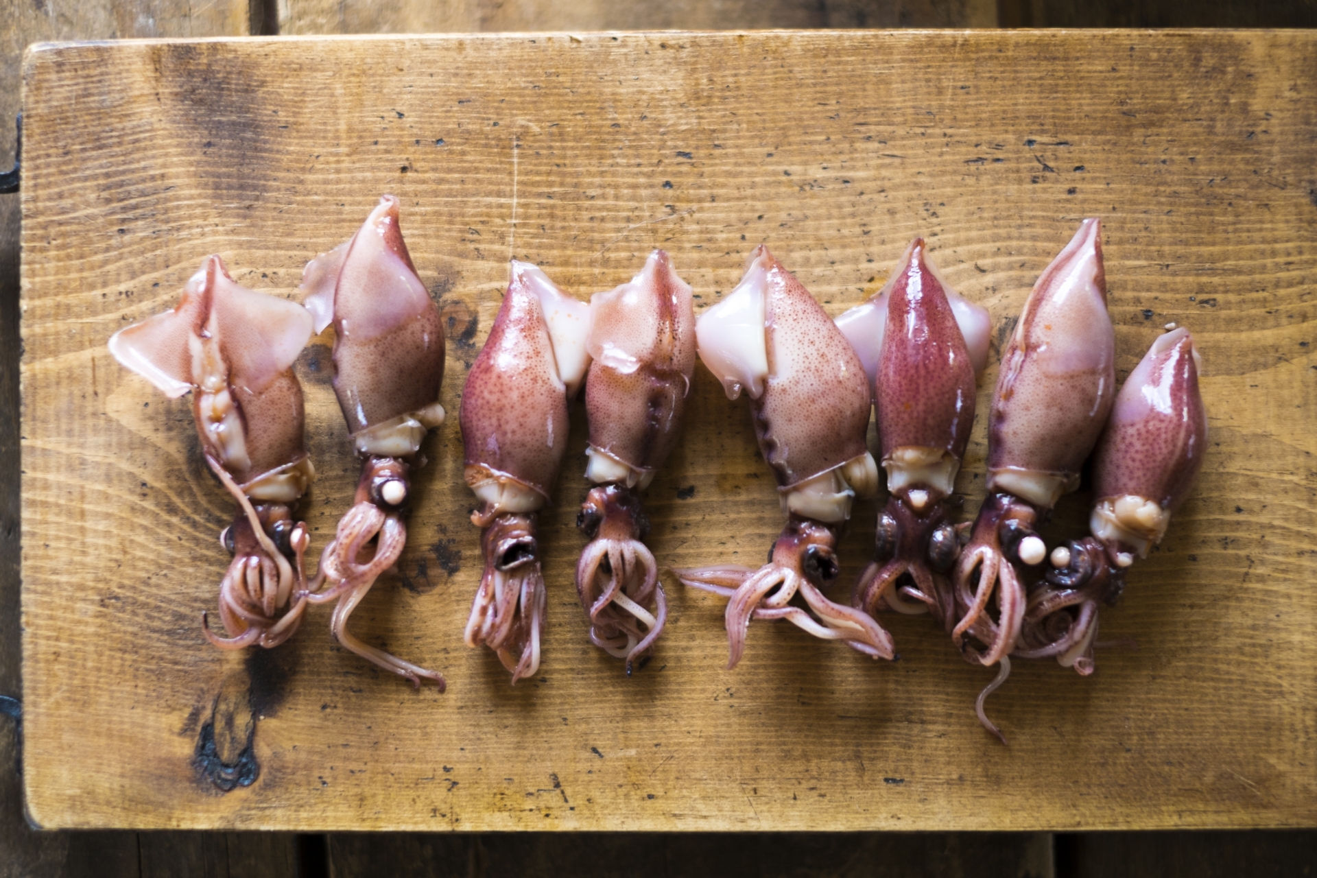 【決定版】ホタルイカお取り寄せ！生とボイル、どっちが美味しい？おすすめ徹底比較