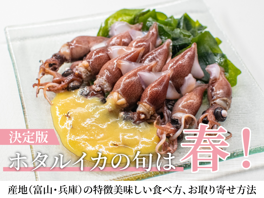 【決定版】ホタルイカの旬は春！産地（富山・兵庫）の特徴、美味しい食べ方、お取り寄せ方法