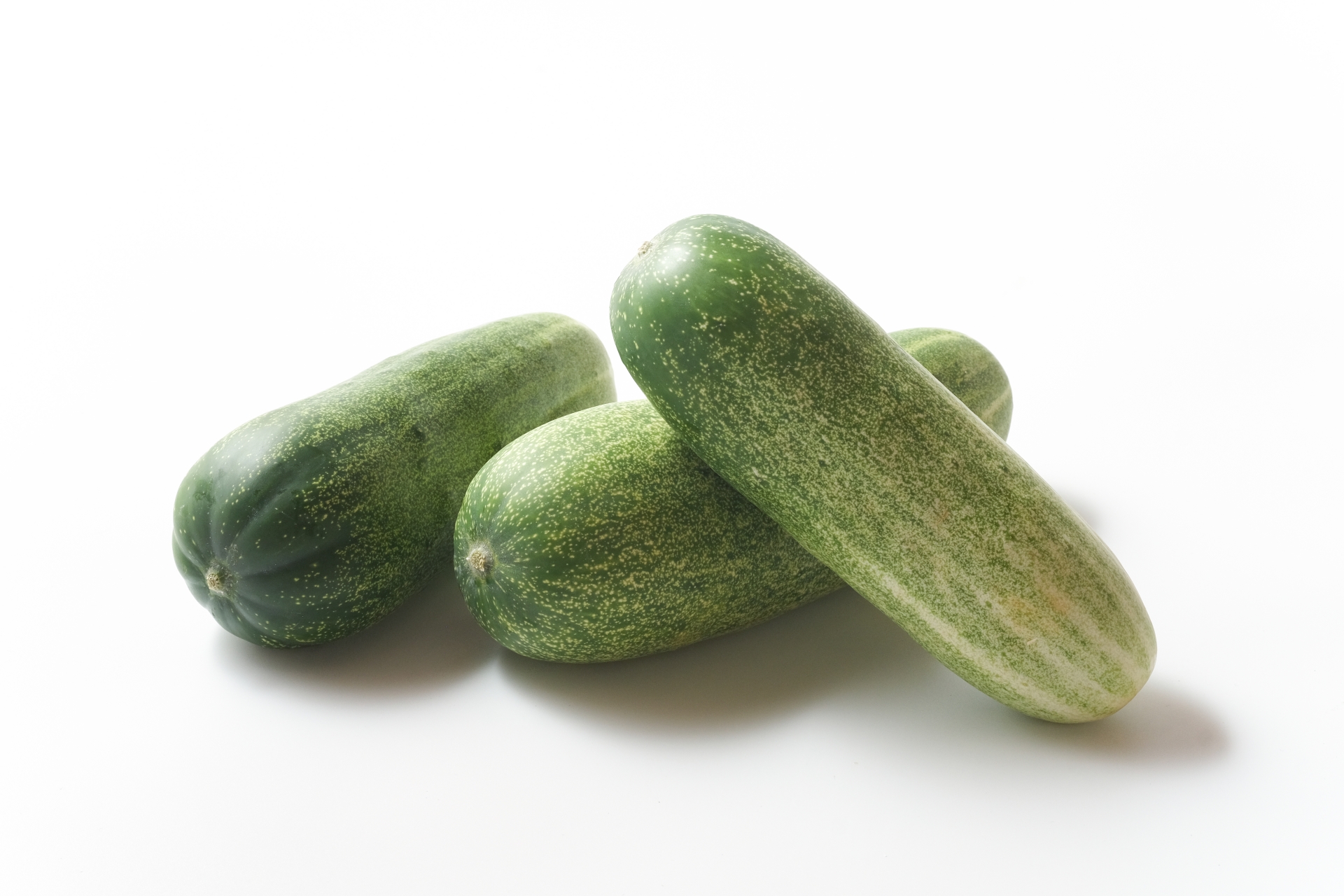 【金沢の恵み】お取り寄せで楽しめる加賀野菜とは？歴史・品種・旬・絶品レシピまで徹底解説！