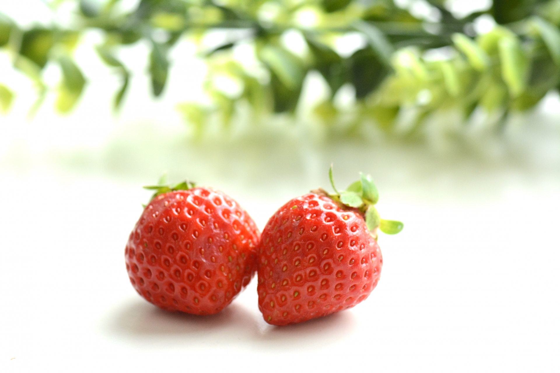 【決定版】九州のお取り寄せフルーツ：有名品種の特徴と賢い選び方