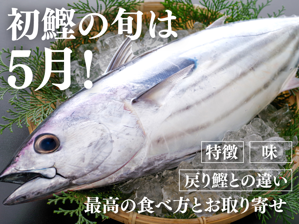 【保存版】初鰹の旬は5月！特徴、味、戻り鰹との違い、最高の食べ方とお取り寄せ