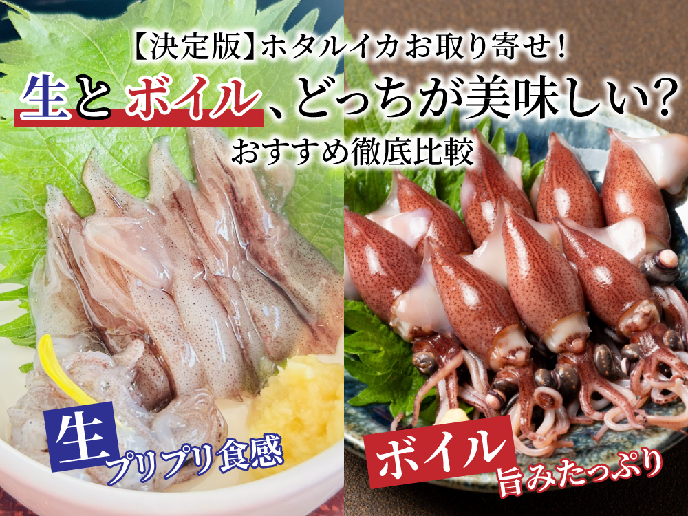 【決定版】ホタルイカお取り寄せ！生とボイル、どっちが美味しい？おすすめ徹底比較